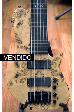 Chris Larkin Singlecut 6 fretless Chris Larkin Singlecut 6 fretless